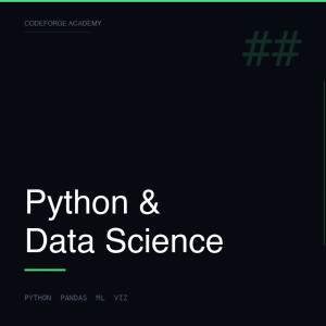Python & Data Science Path